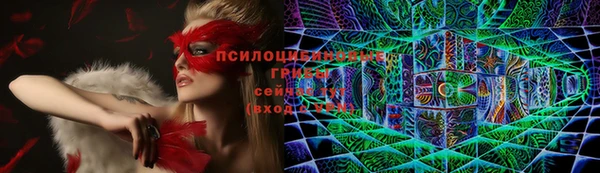гидра Абинск