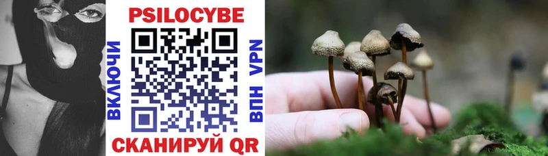 Псилоцибиновые грибы ЛСД  Чердынь 